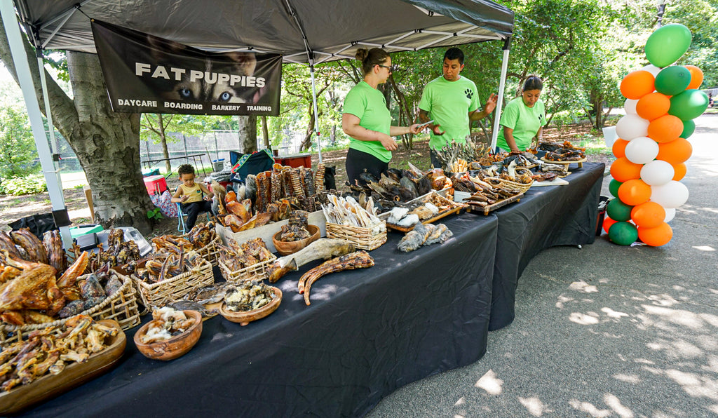 Dog Friendly Community Event Photography
