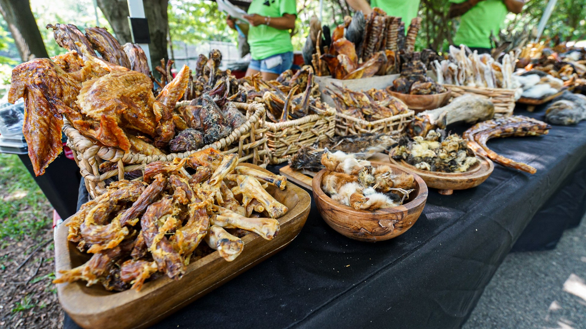 Dog Friendly Community Event Photography