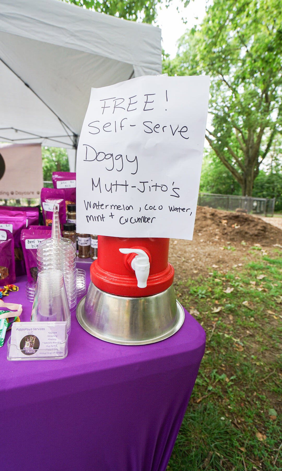 Dog Friendly Community Event Photography