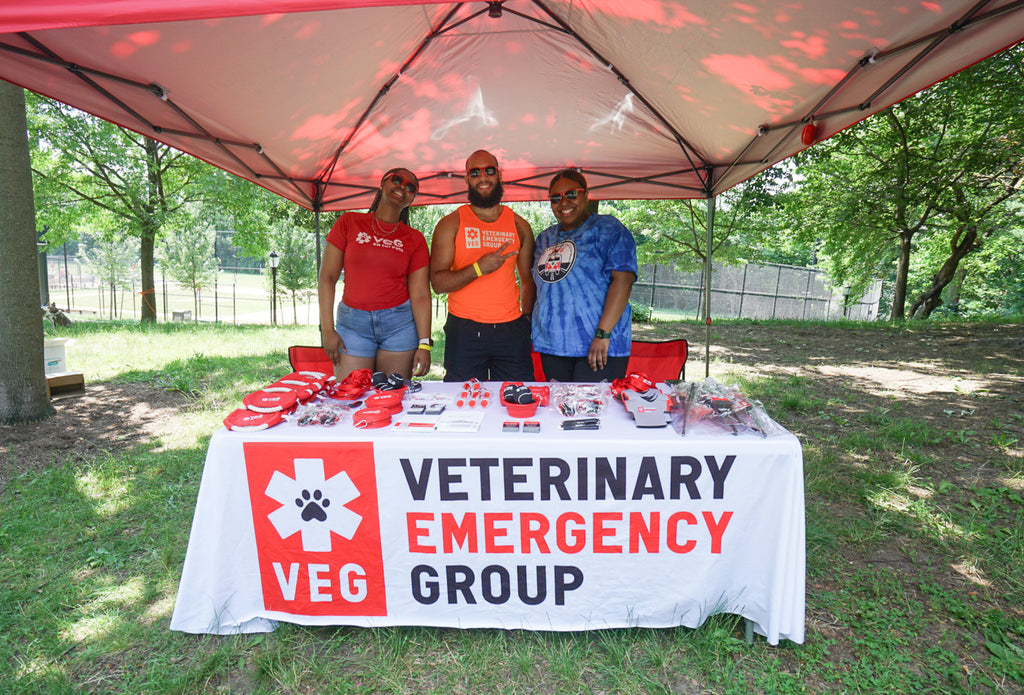 Dog Friendly Community Event Photography