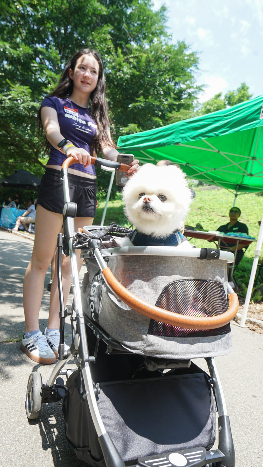 Dog Friendly Community Event Photography