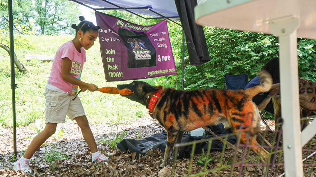 Dog Friendly Community Event Photography