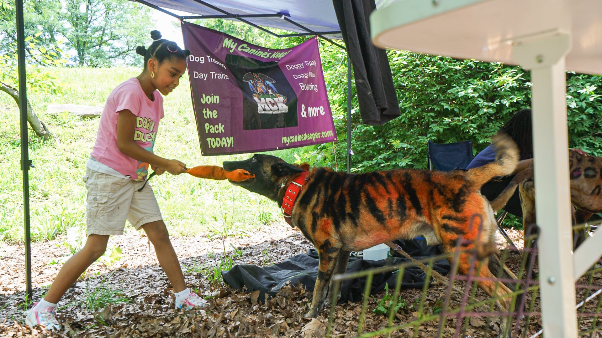 Dog Friendly Community Event Photography