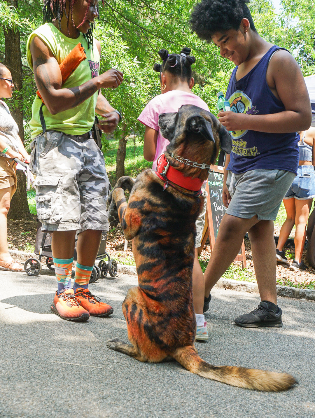 Dog Friendly Community Event Photography