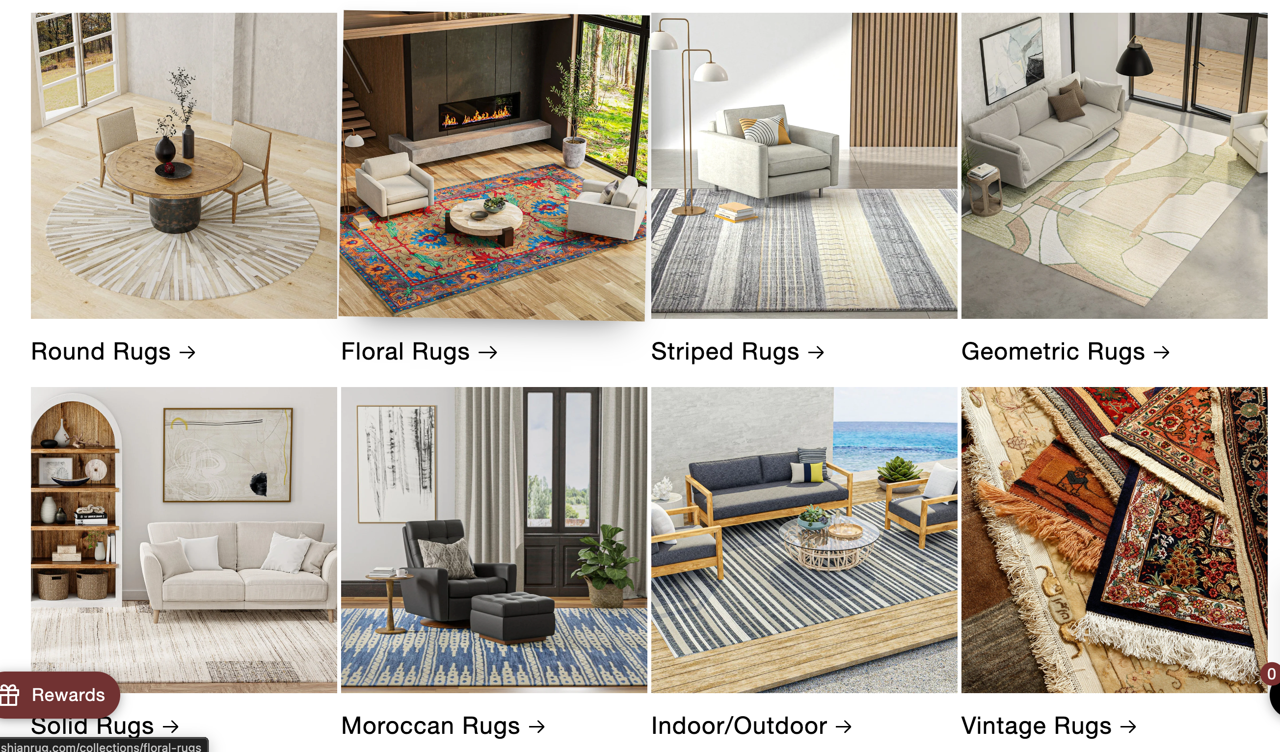 Shopify Store Setup & E-Commerce Management